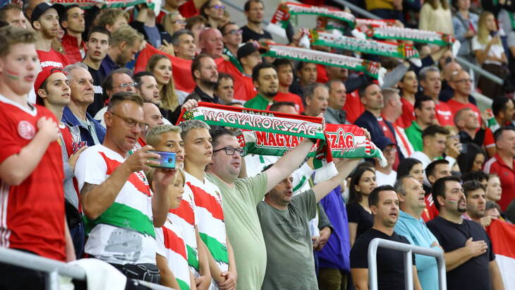 Болельщики сборной Венгрии
