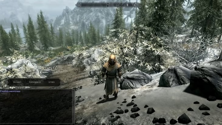 Skyrim